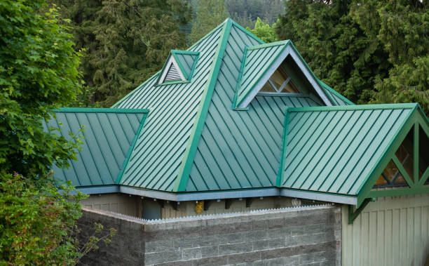 Best Roof Insulation Installation  in Elkton, MD