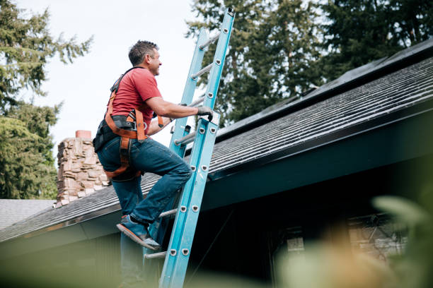 Best Roof Waterproofing  in Elkton, MD